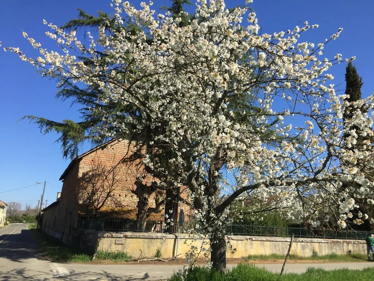 Saint Sever Des Pyrenees Bed & Breakfast