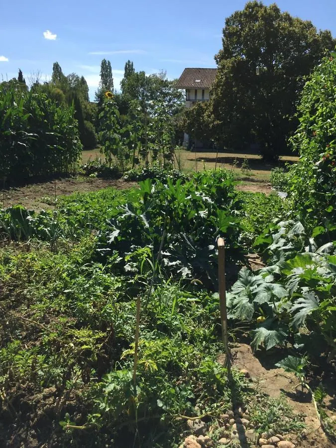 Bed & Breakfast Saint Sever Des Pyrenees
